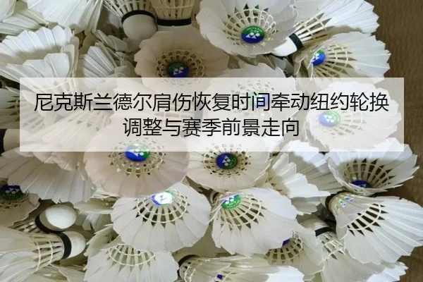 尼克斯兰德尔肩伤恢复时间牵动纽约轮换调整与赛季前景走向 | leyu