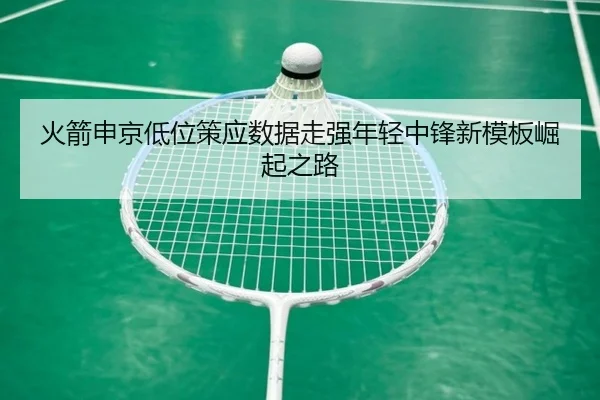 火箭申京低位策应数据走强年轻中锋新模板崛起之路（leyu）