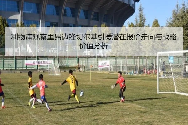 利物浦观察里昂边锋切尔基引援潜在报价走向与战略价值分析（leyu）