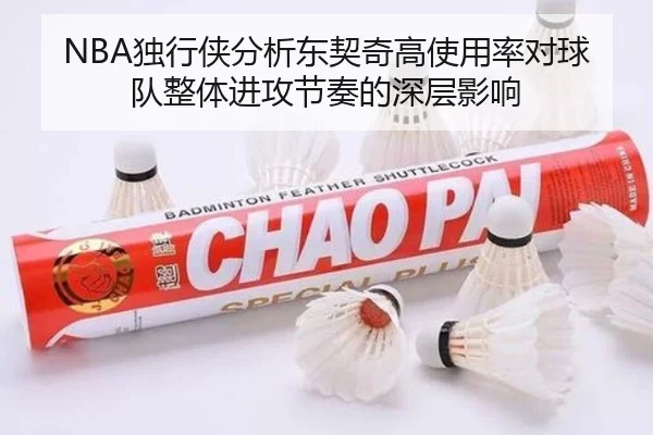 NBA独行侠分析东契奇高使用率对球队整体进攻节奏的深层影响（leyu）