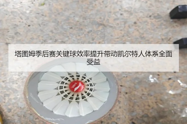 塔图姆季后赛关键球效率提升带动凯尔特人体系全面受益 | leyu